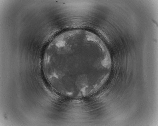 X0000095550542200801111456