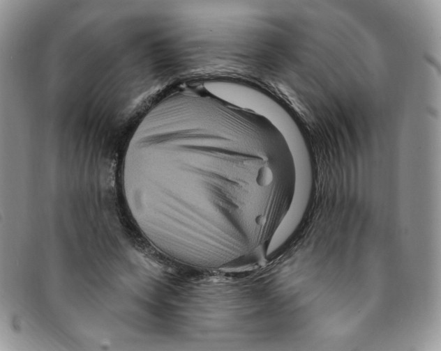 X0000095550543200801111456