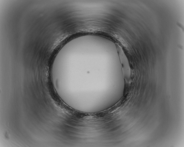 X0000095550544200801111456