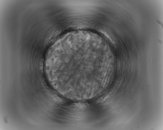 X0000095550545200801111456