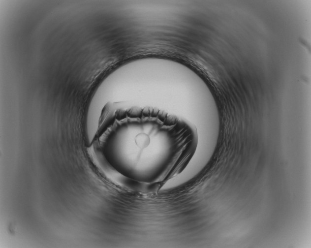 X0000095550546200801111456