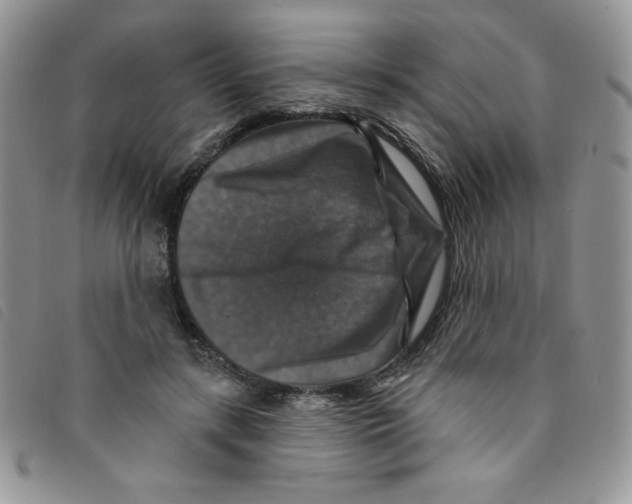 X0000095550547200801111456