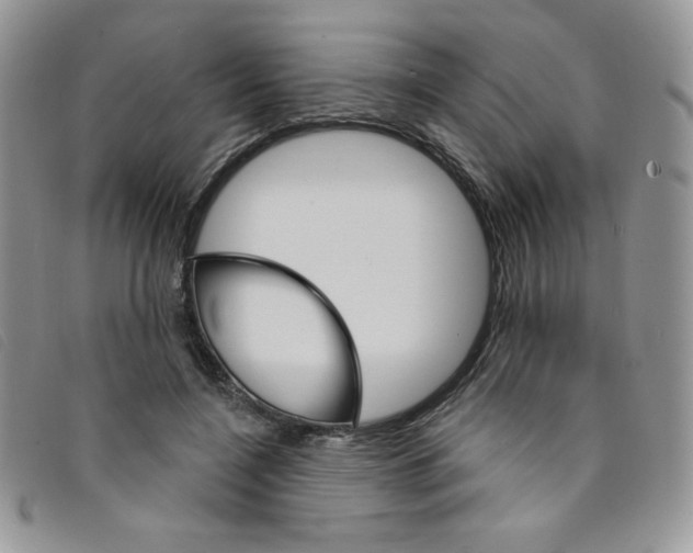 X0000095550548200801111456