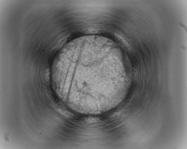 X0000095550549200801111456