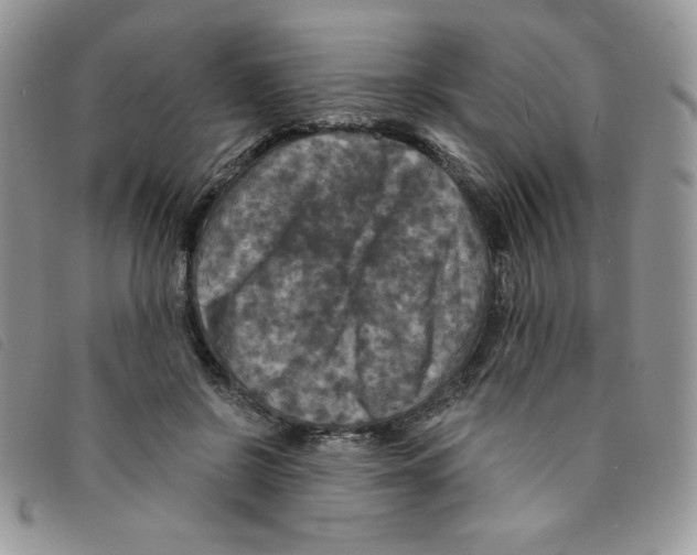 X0000095550550200801111456