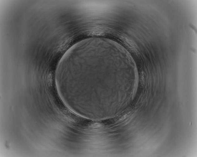 X0000095550551200801111456