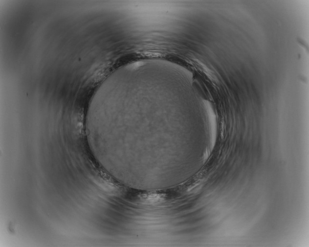 X0000095550553200801111456