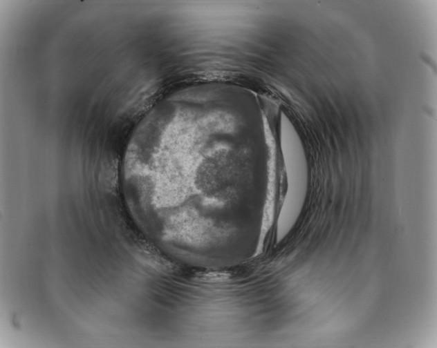 X0000095550554200801111456