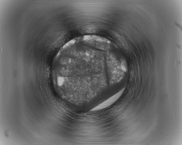 X0000095550555200801111456