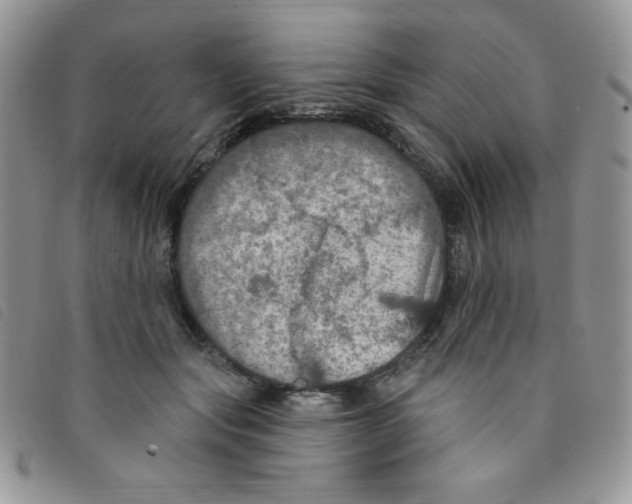 X0000095550557200801111456