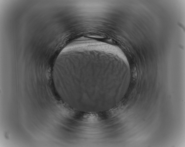 X0000095550559200801111456