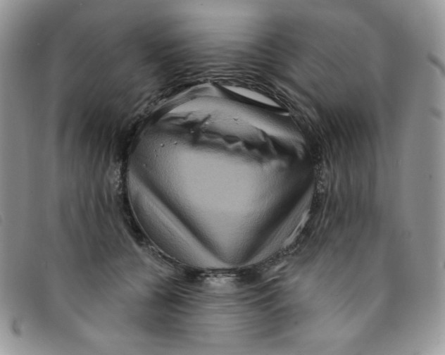 X0000095550560200801111456