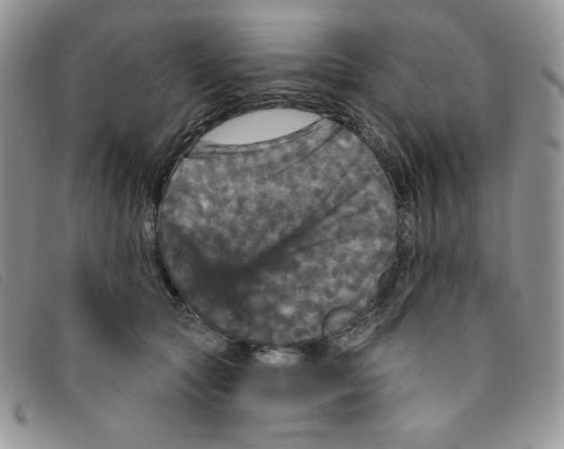 X0000095550561200801111456