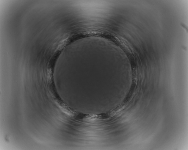 X0000095550563200801111456