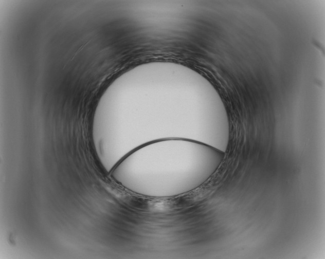 X0000095550564200801111456