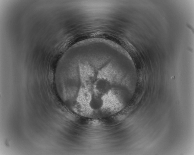 X0000095550565200801111456