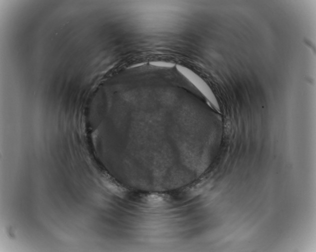 X0000095550566200801111456