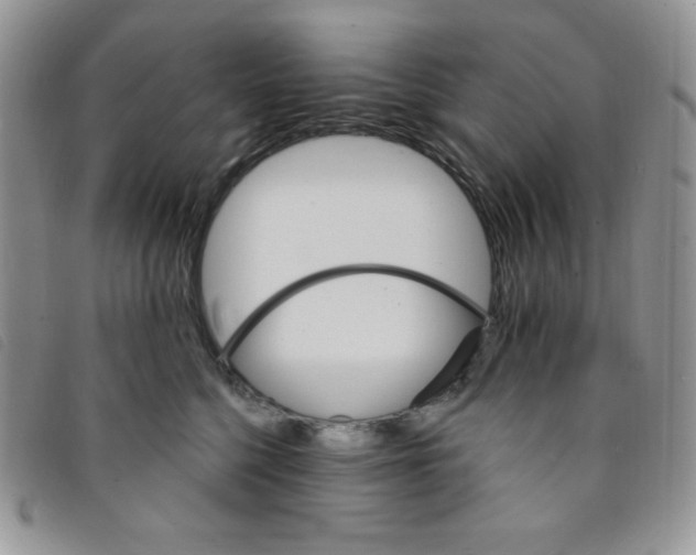 X0000095550568200801111456