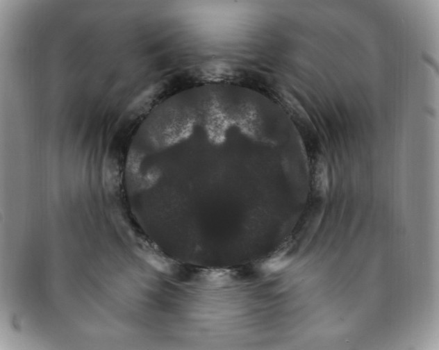 X0000095550569200801111456