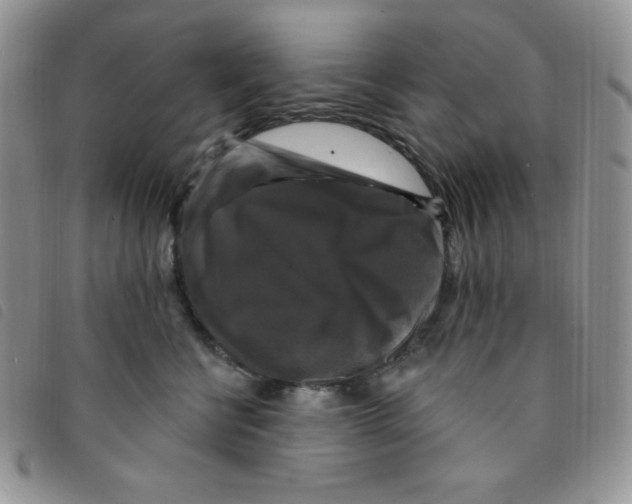 X0000095550570200801111456