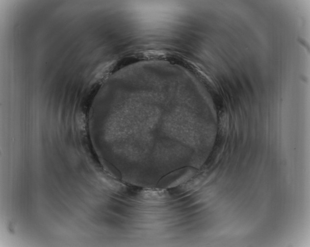 X0000095550571200801111456