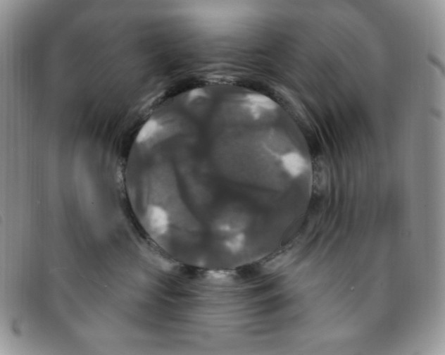 X0000095550573200801111456