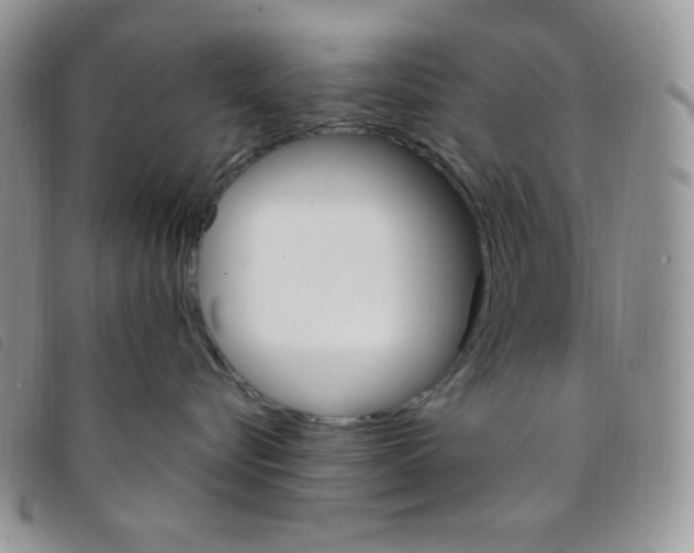 X0000095550576200801111456