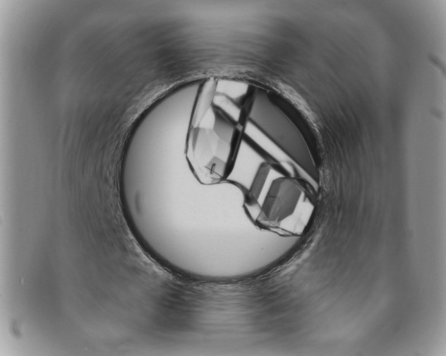 X0000095550577200801111456