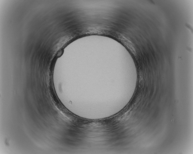 X0000095550578200801111456