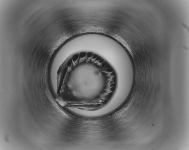 X0000095550581200801111456