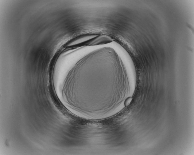 X0000095550582200801111456