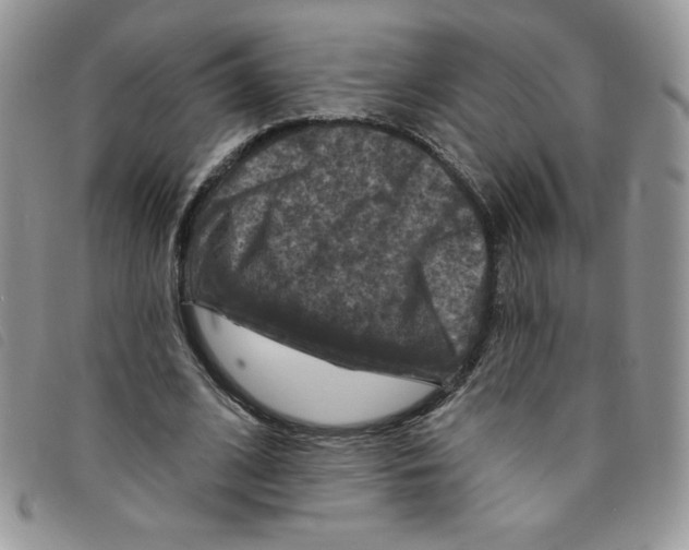 X0000095550584200801111456