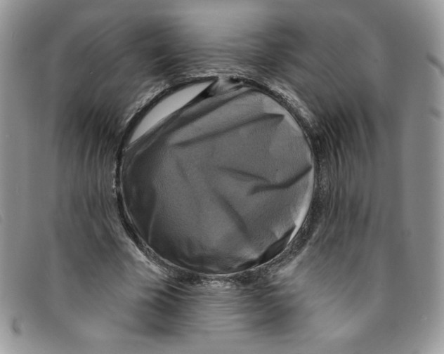 X0000095550585200801111456