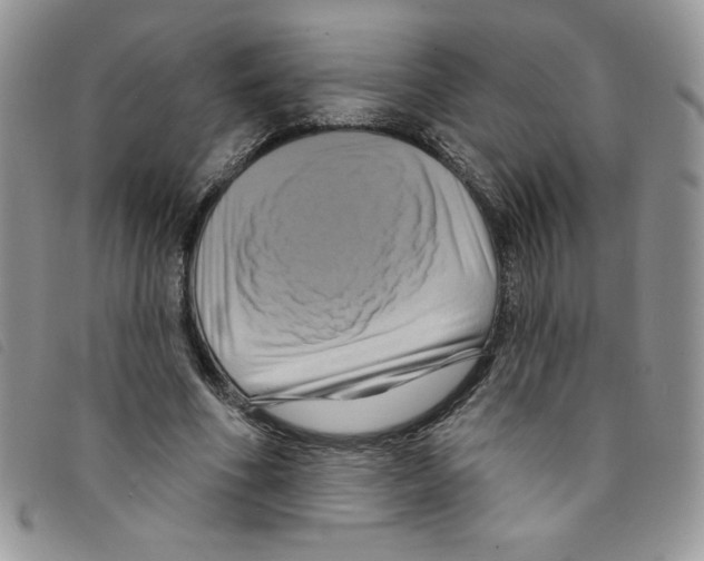 X0000095550586200801111456