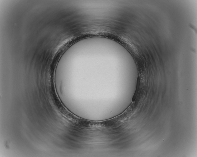 X0000095550587200801111456