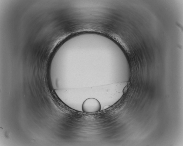 X0000095550588200801111456