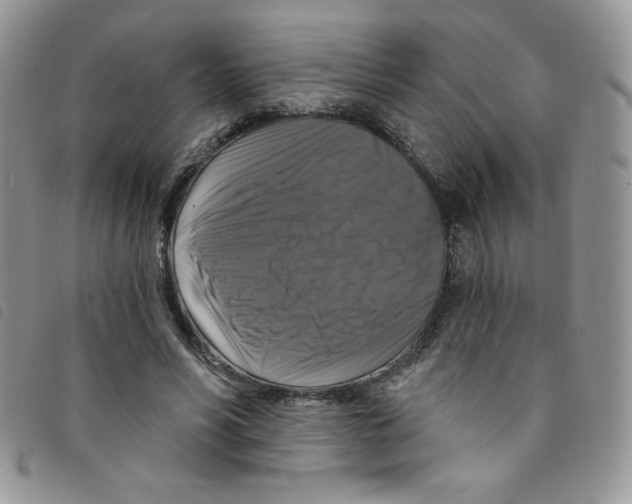 X0000095550590200801111456