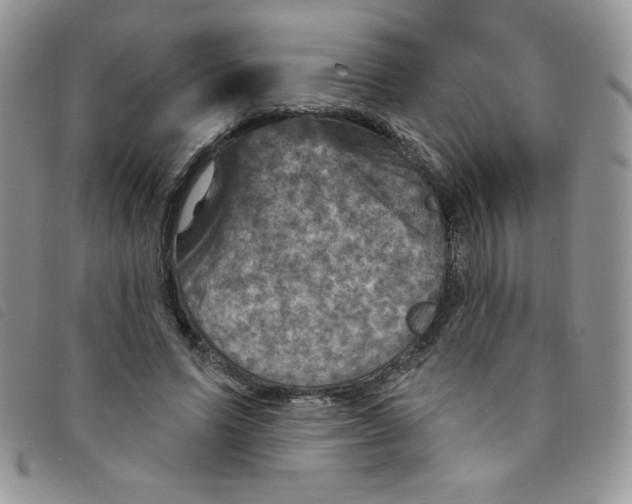 X0000095550591200801111456