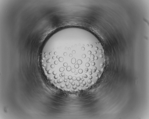 X0000095550592200801111456