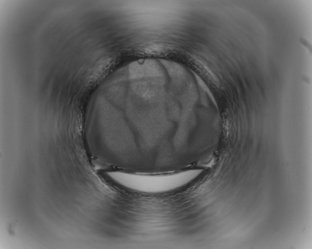 X0000095550593200801111455