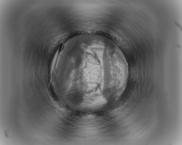 X0000095550594200801111455