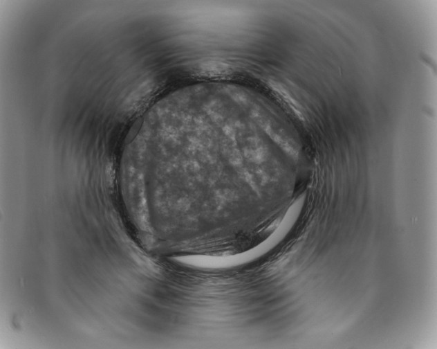 X0000095550597200801111455