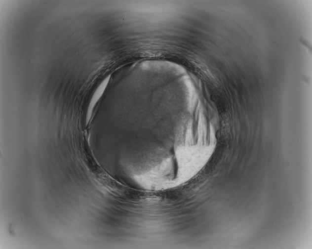 X0000095550598200801111455