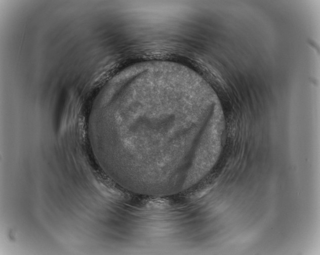 X0000095550599200801111455