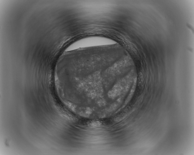 X0000095550600200801111455