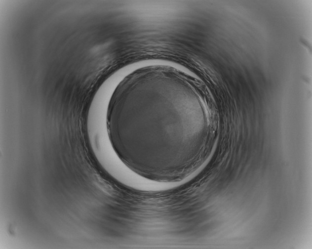 X0000095550601200801111455