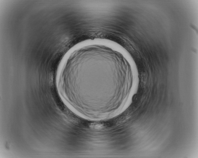 X0000095550602200801111455