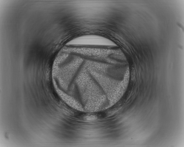 X0000095550604200801111455