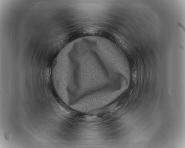 X0000095550605200801111455