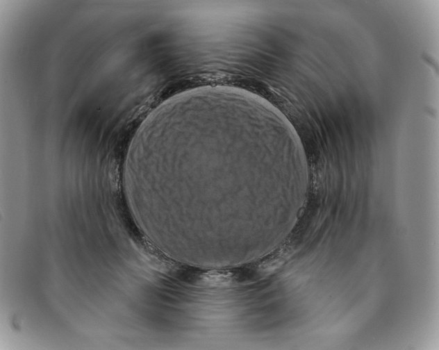 X0000095550606200801111455